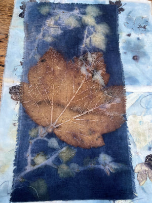 logwood eco print panel featuring a sycamore leaf