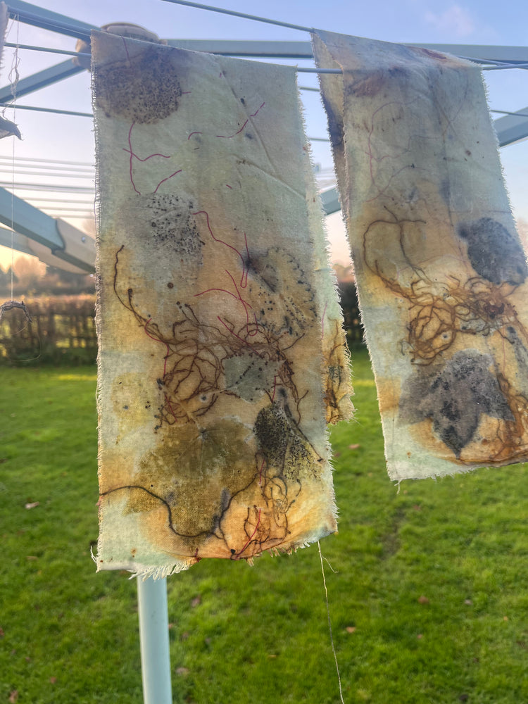 Two pieces of eco-printed fabric with natural dyes and organic materials, displayed on a line outdoors.